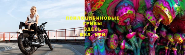 СК Усмань