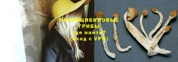 apvp Вязьма
