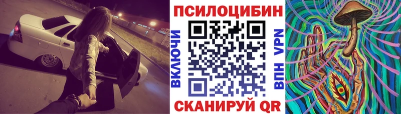 Псилоцибиновые грибы Psilocybe  blacksprut рабочий сайт  Лодейное Поле  где можно купить наркотик 
